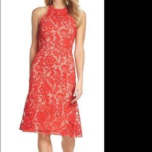 Chelsea28 Lace Halter Midi Dress